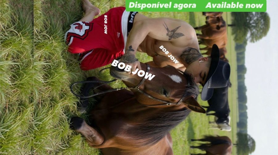 Bob Jow 5