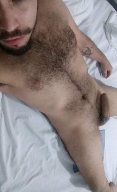 Motoboy Peludo Gp 17