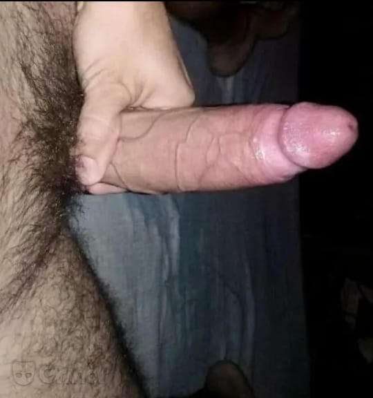 Jaquesslan 2