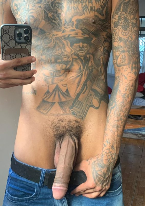 Fael Adestrador 22