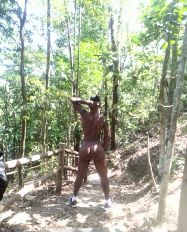 Pierry Scat 189