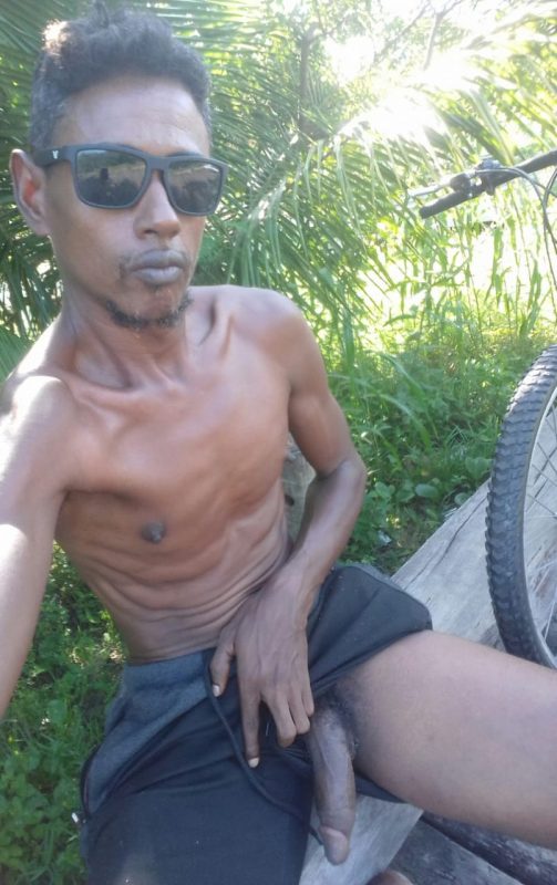 Pierry Scat 203
