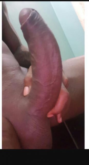 Alex Dotado 5