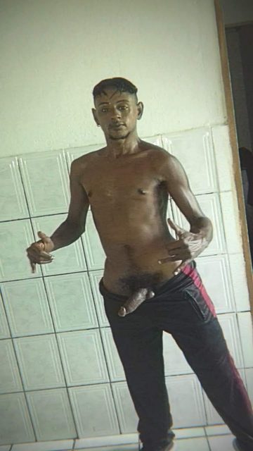 Pierry Scat 283