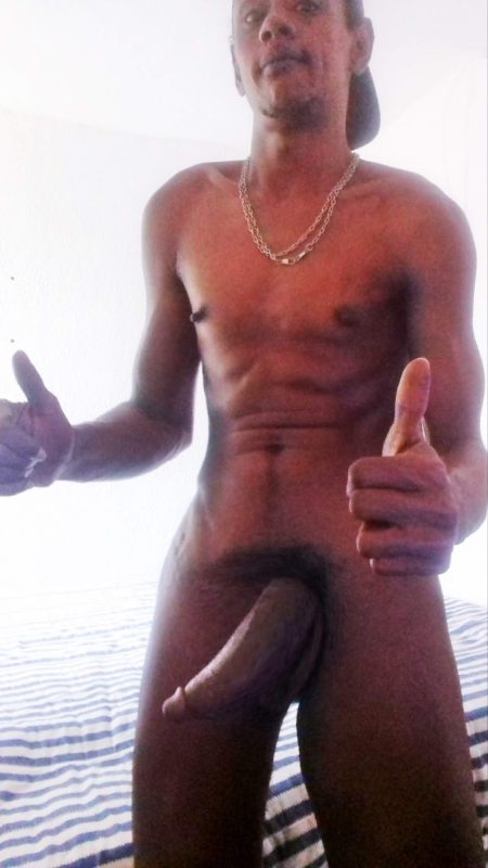 Pierry Scat 168