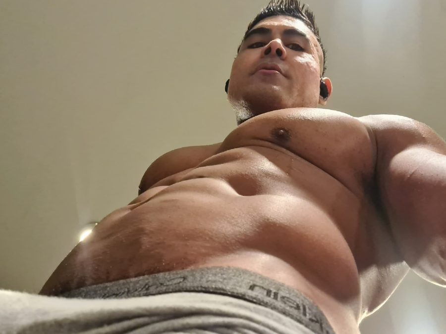 Lauro Minotauro 55