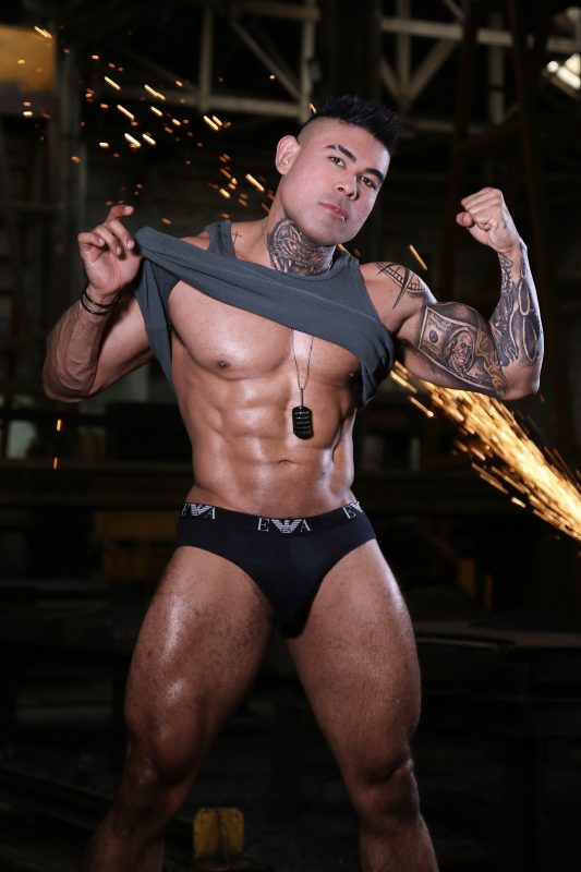 Lauro Minotauro 48