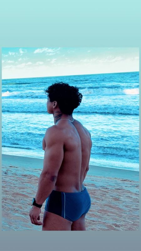 Leão 23cm 5