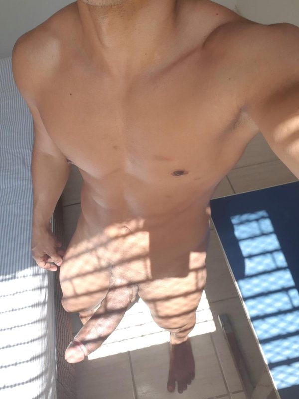 Leão 23cm 47