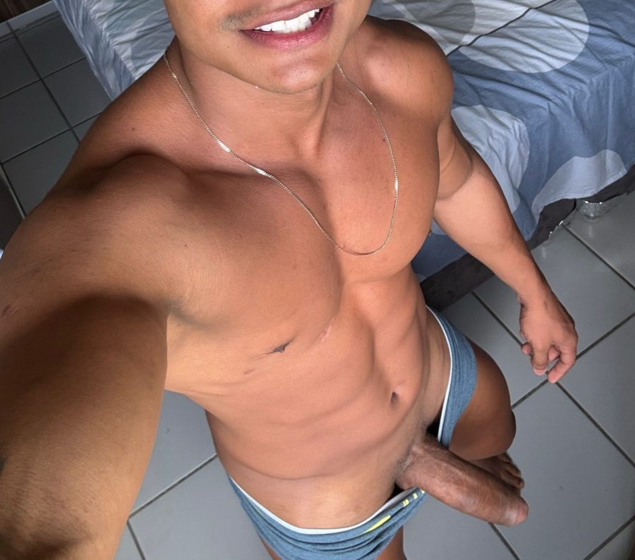 Leão 23cm 43