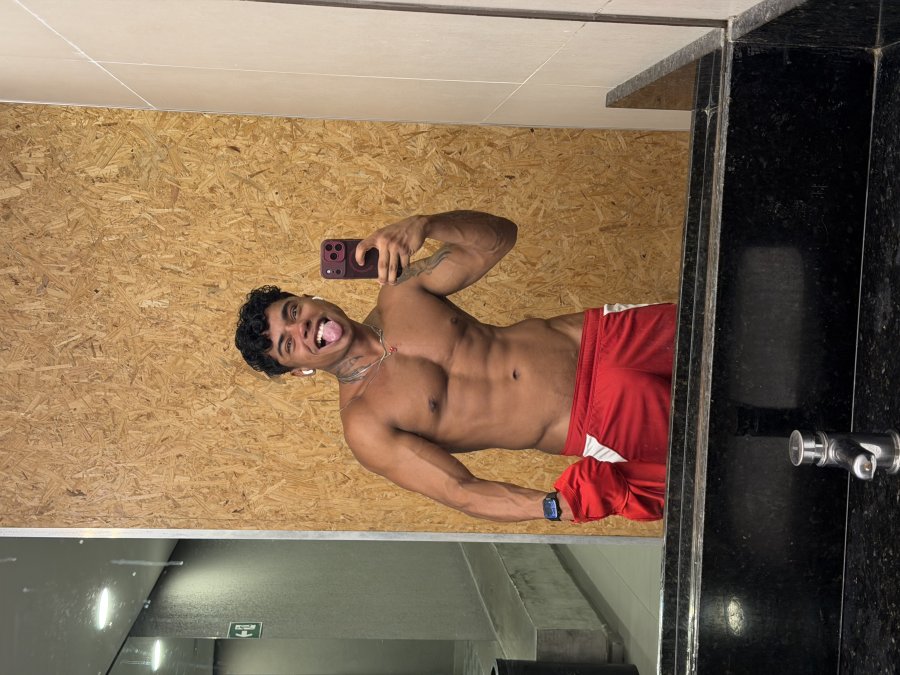 Leão 23cm 38