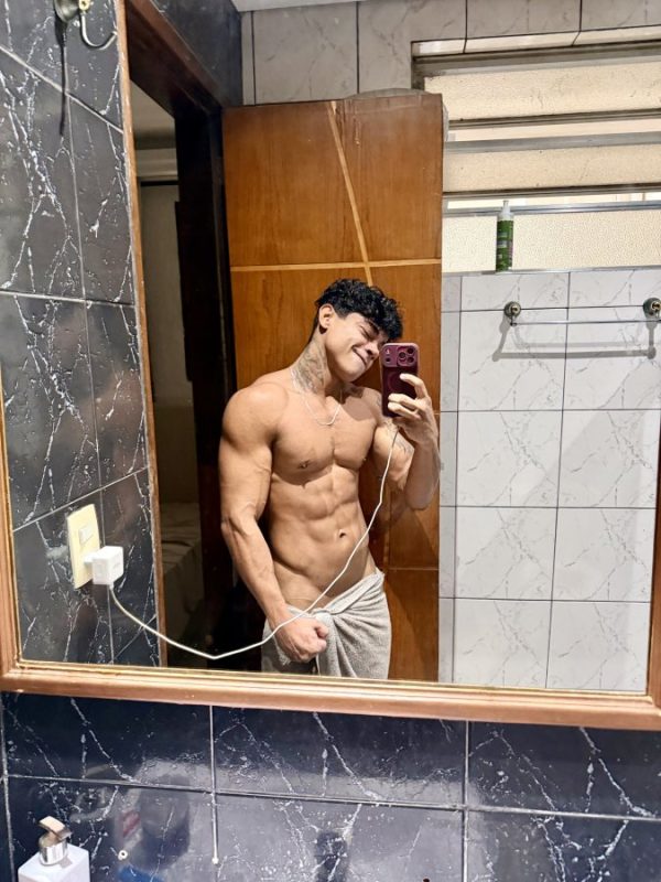 Leão 23cm