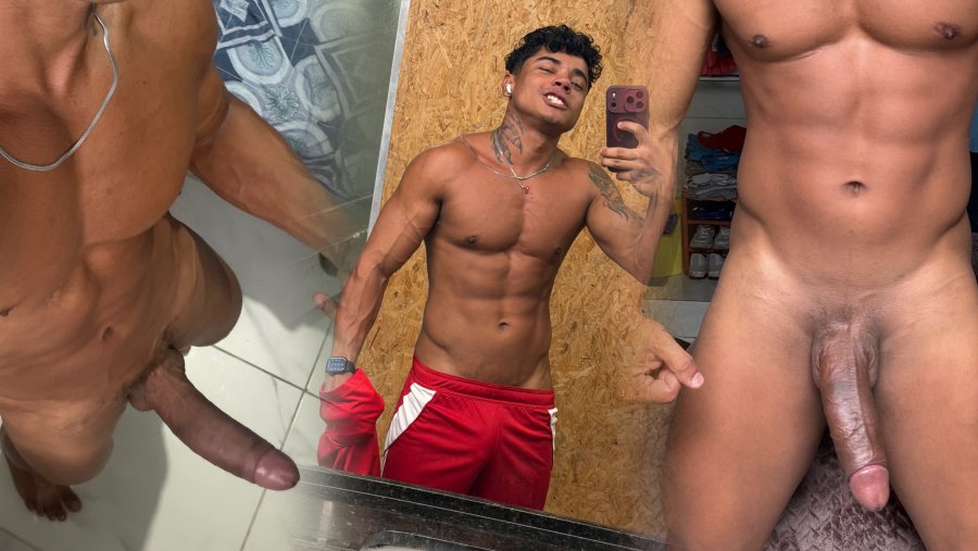 Leão 23cm