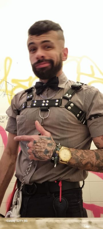 Dom Master 11