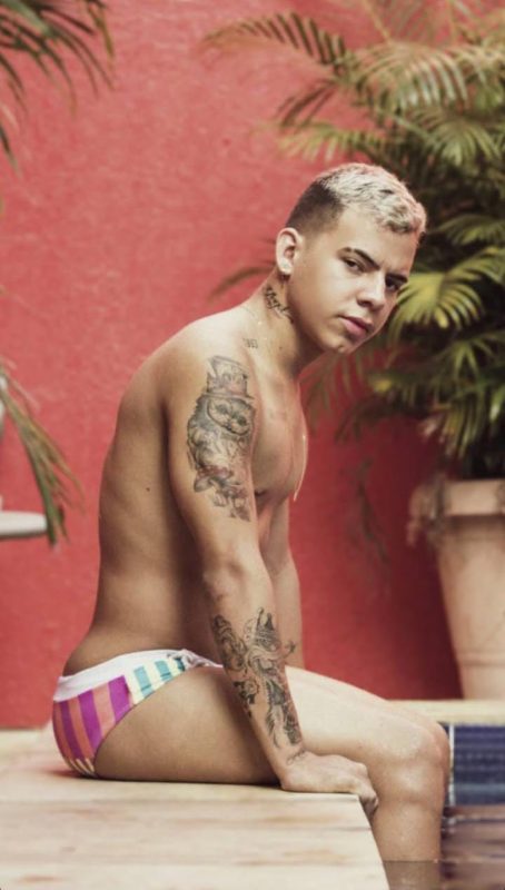 Arthur Garcez 13