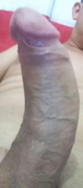 Alexis Gringo 2
