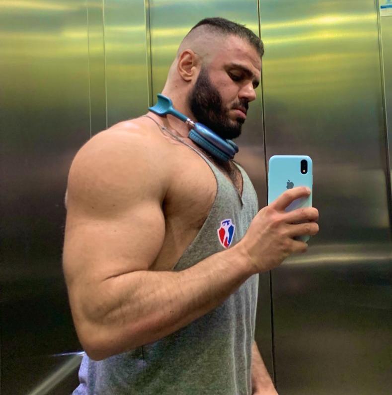 Big Bull 5