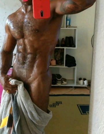 Gato Preto 2