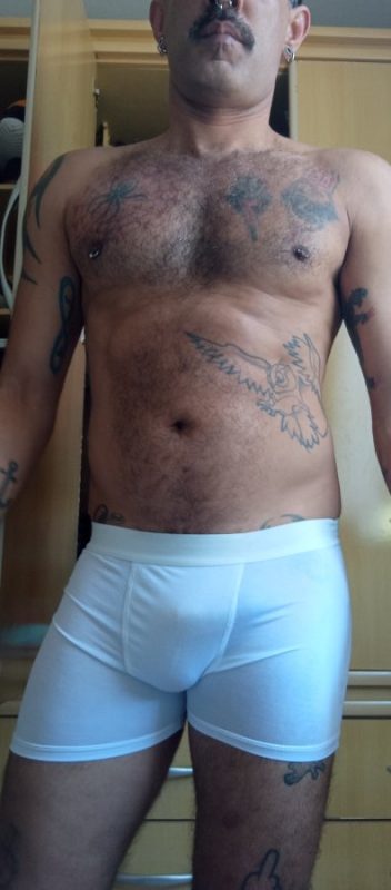 Lobo Mau 1