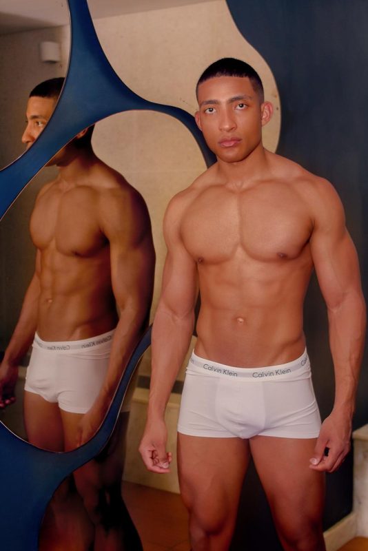 Hendrio Fox 4