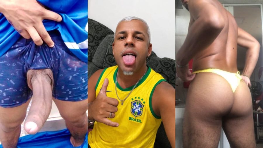 Malvacinni Dotadão 15