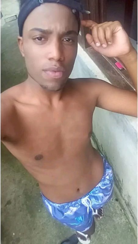 Juno Silva 4
