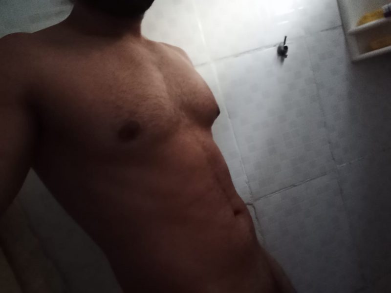 Alex Rex 3