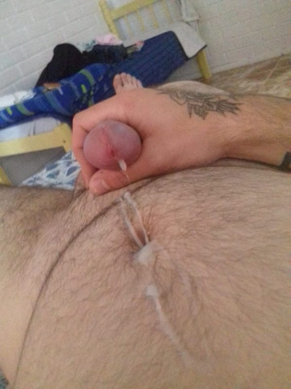 Alexander Novidade 4