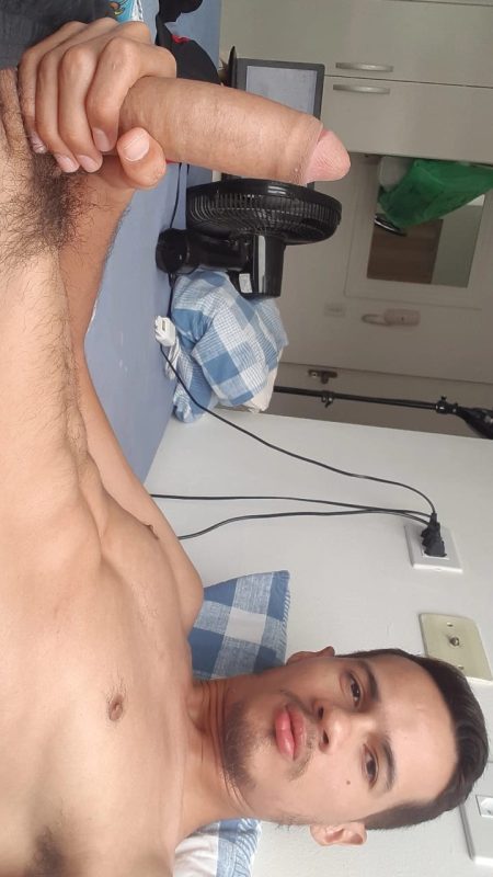 Paulo Dot 22cm 15