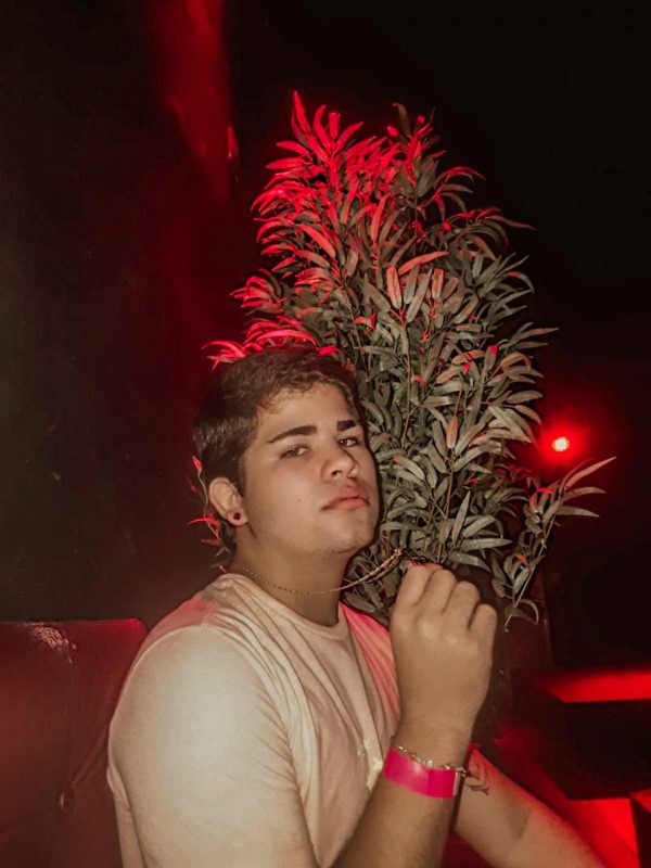 Alexandre XX 1
