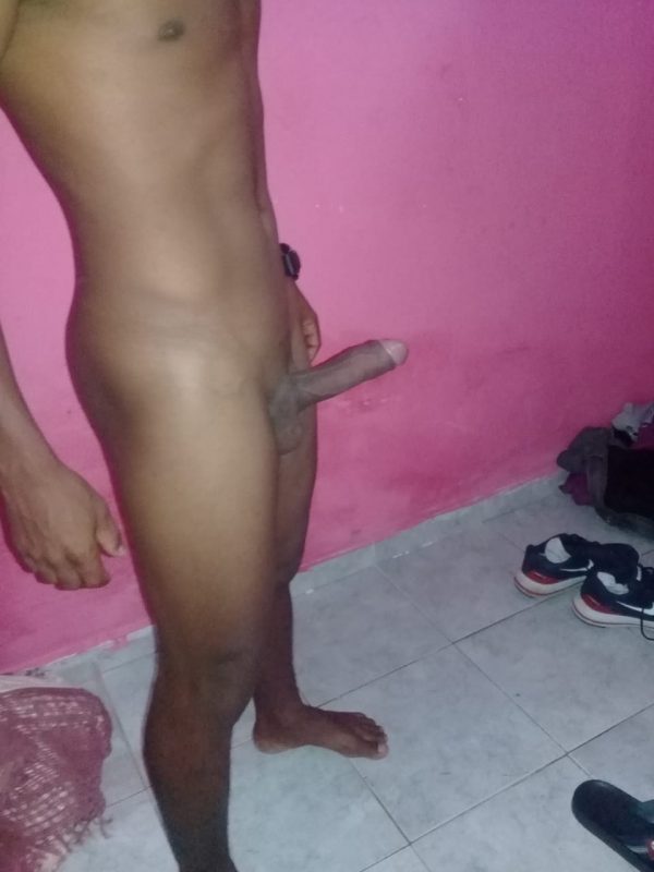 Anderson 19cm 3