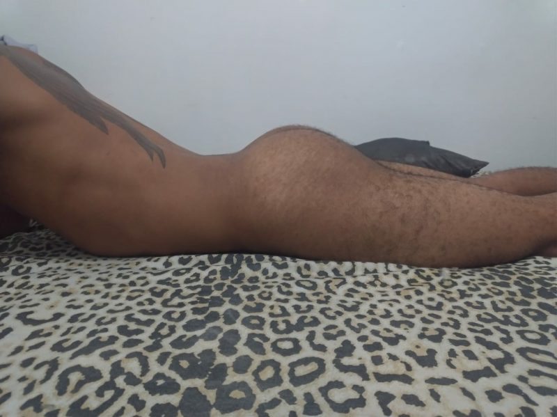 Anjo Mulato 3