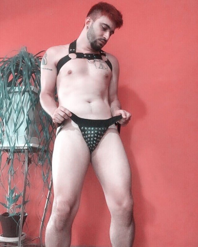 Arlequino Quinzel 2