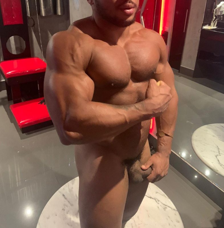Apolo Dotado 19