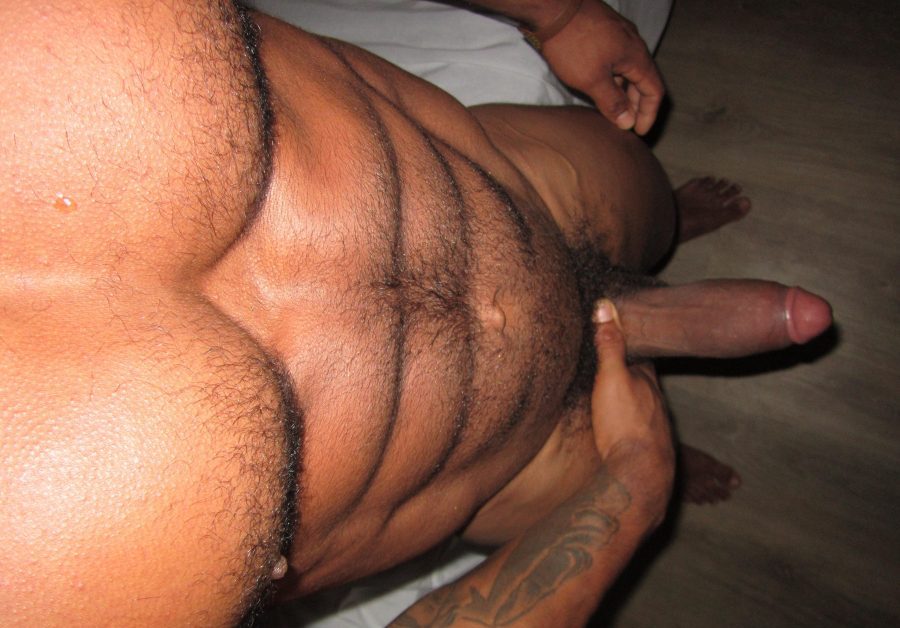 Apolo Dotado 15