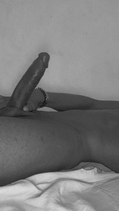 Turista 23cm 8
