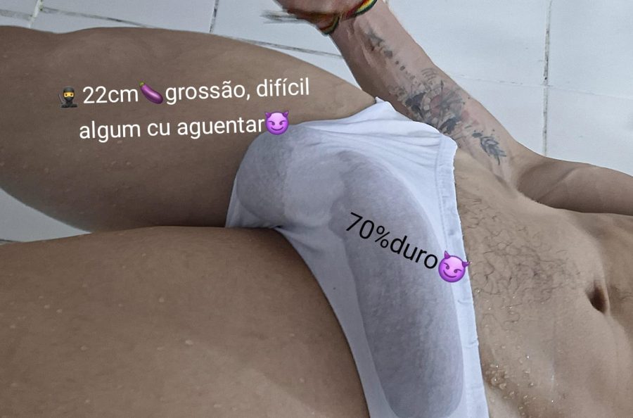 Malandrão 22cm GG