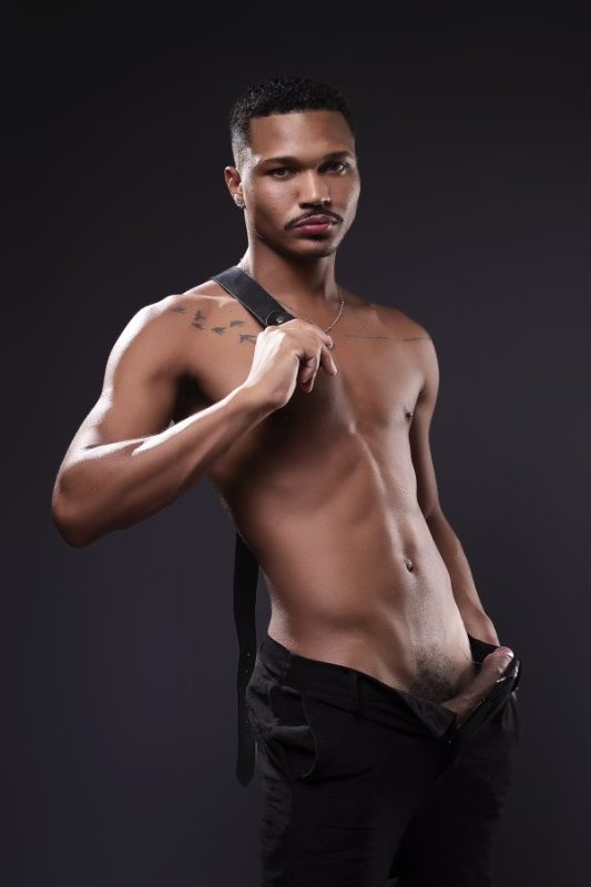 Dom Magnum 6