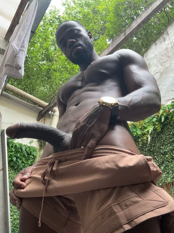 Plínio Brito 42