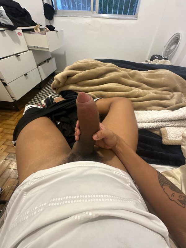 Pedrin Trestini 5