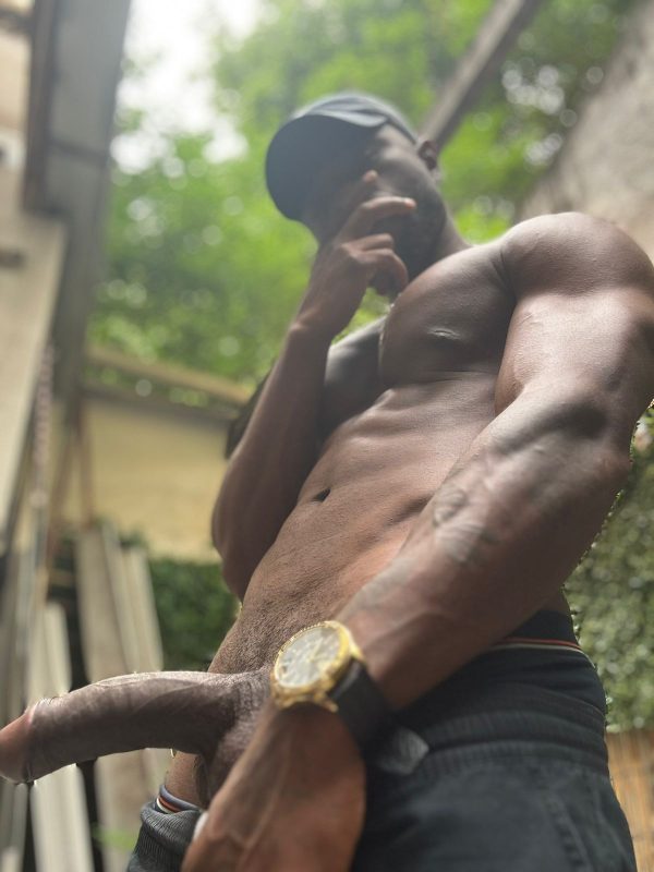 Plínio Brito 36