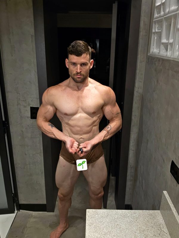 Maxwell Stone 3