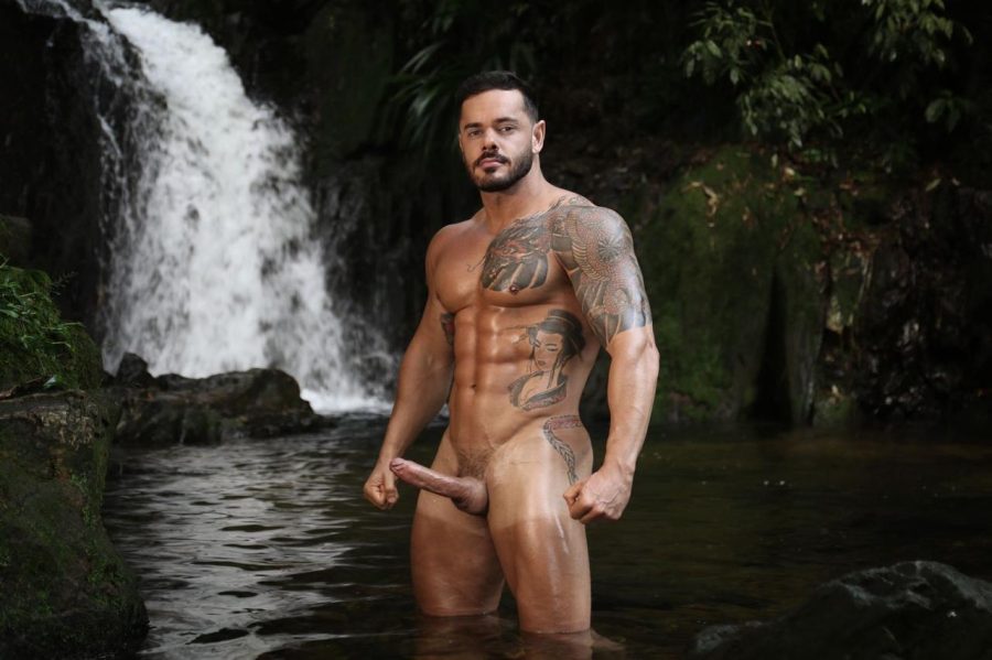 Thiago Fenix 15
