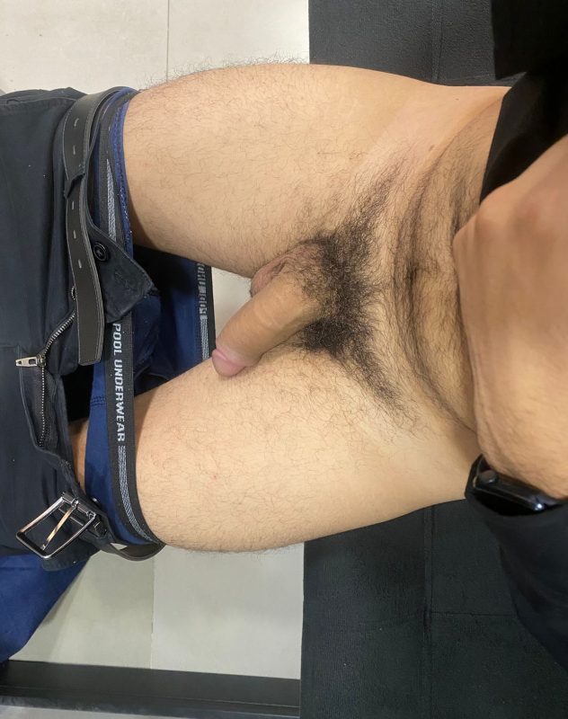 Sigiloso Dotado 4