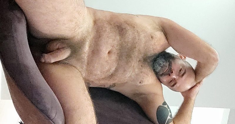 Urso Parrudo 6