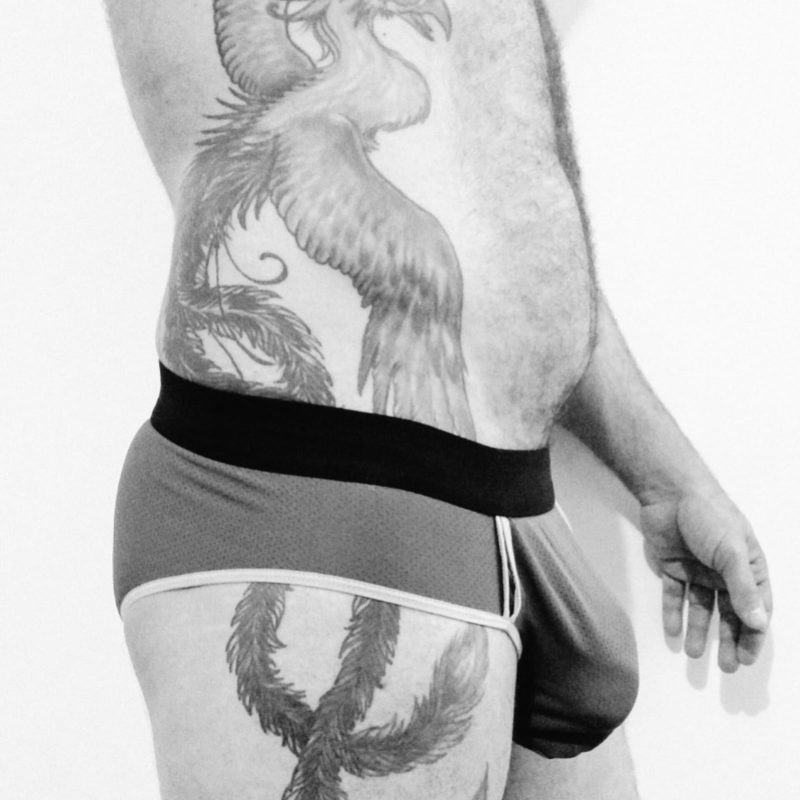 Urso Parrudo 18