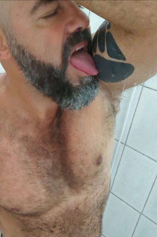 Urso Parrudo 13