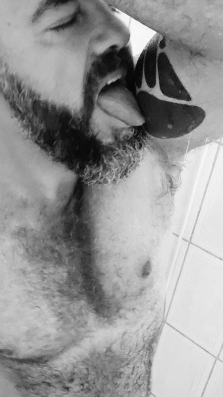 Urso Parrudo 27