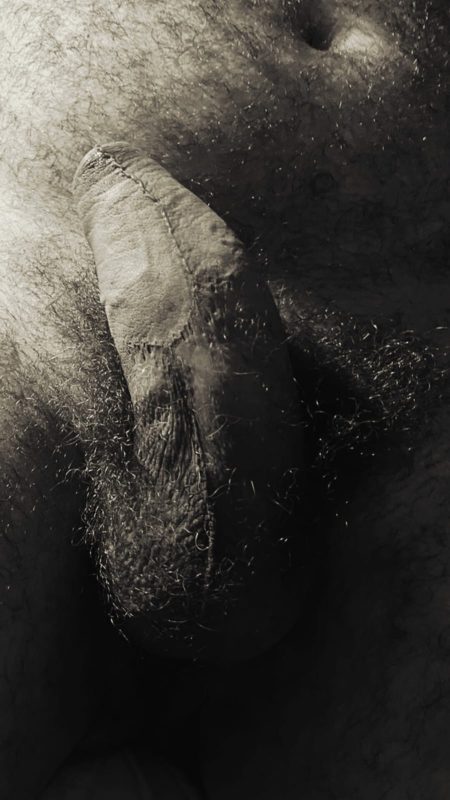 Urso Parrudo 19