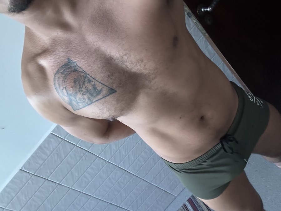 Cigano Gato 17